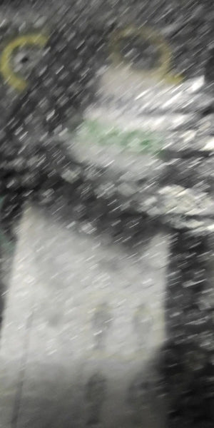 A98107374649f4eb3802e958893777697B.jpg